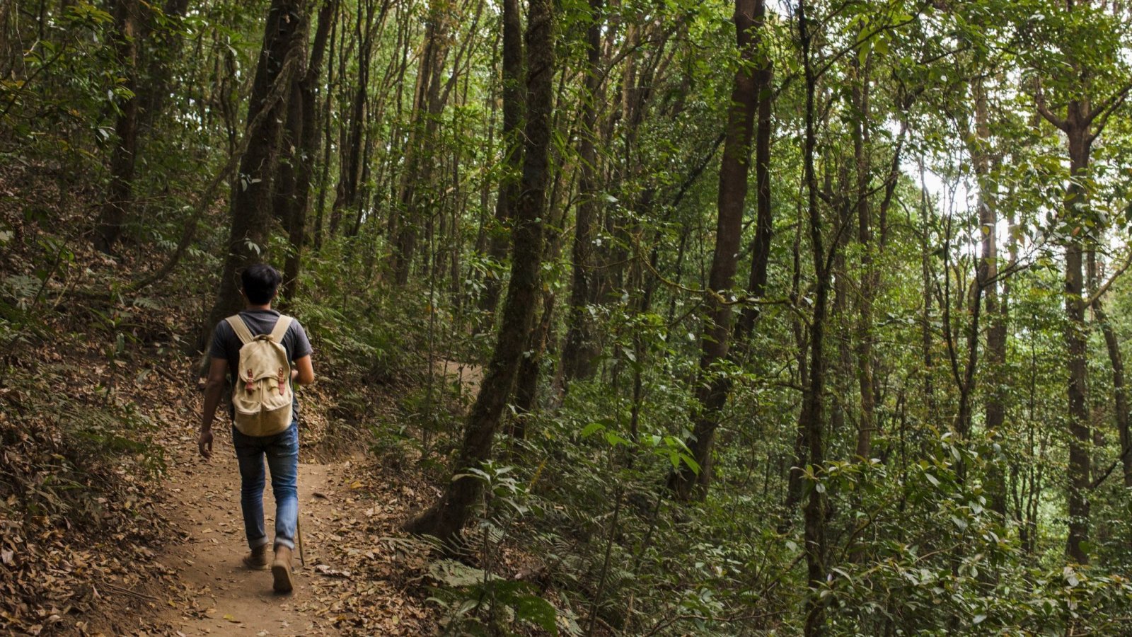 Naturaleza para tu salud