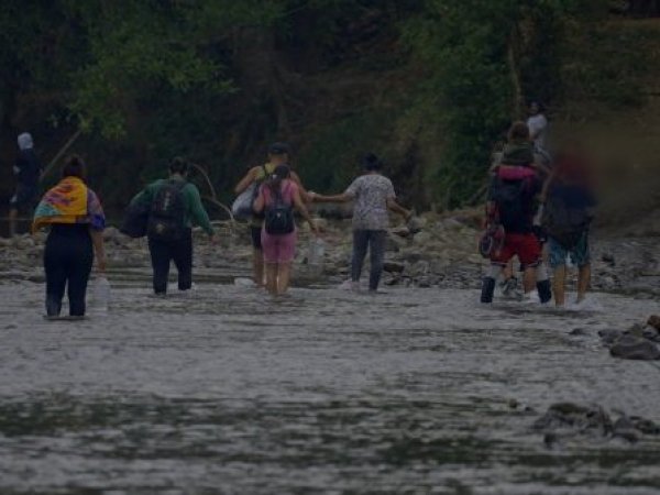 Accedimos en exclusiva a escuchas teléfonicas que dan cuenta del actuar de esta organización criminal donde niños chilenos terminaron incluso recorriendo solos la peligrosa Selva del Darién.