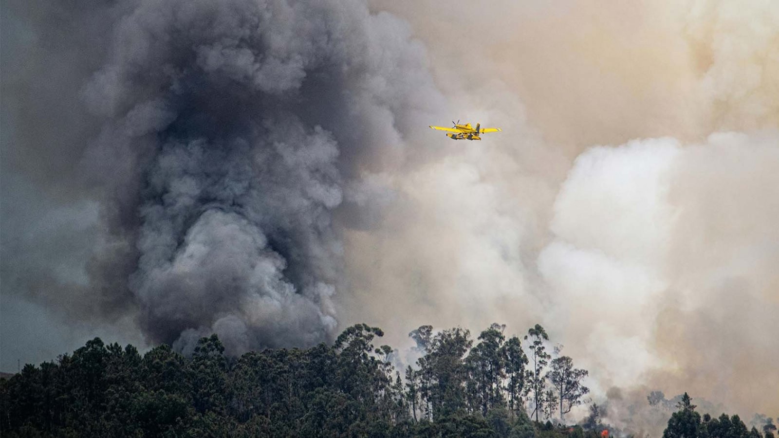 Sistema avanzado de detección de incendios en la Reserva Nacional Lago Peñuelas, Chile.