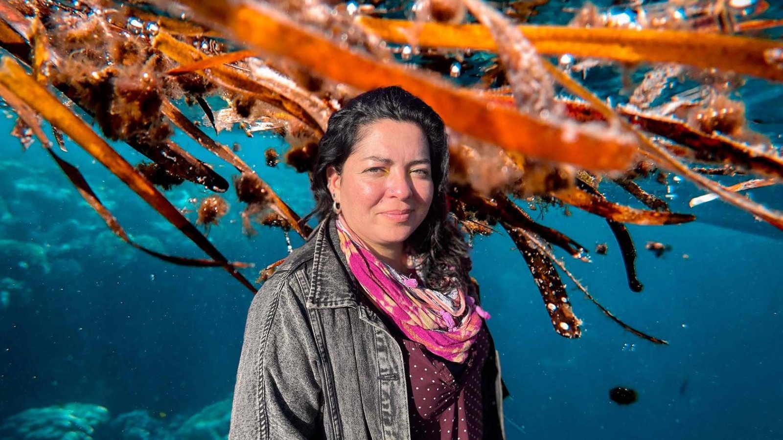 Residuos de algas marinas en la playa de Changa, Coquimbo, que se están evaluando como bioestimulantes para cultivos en zonas áridas.