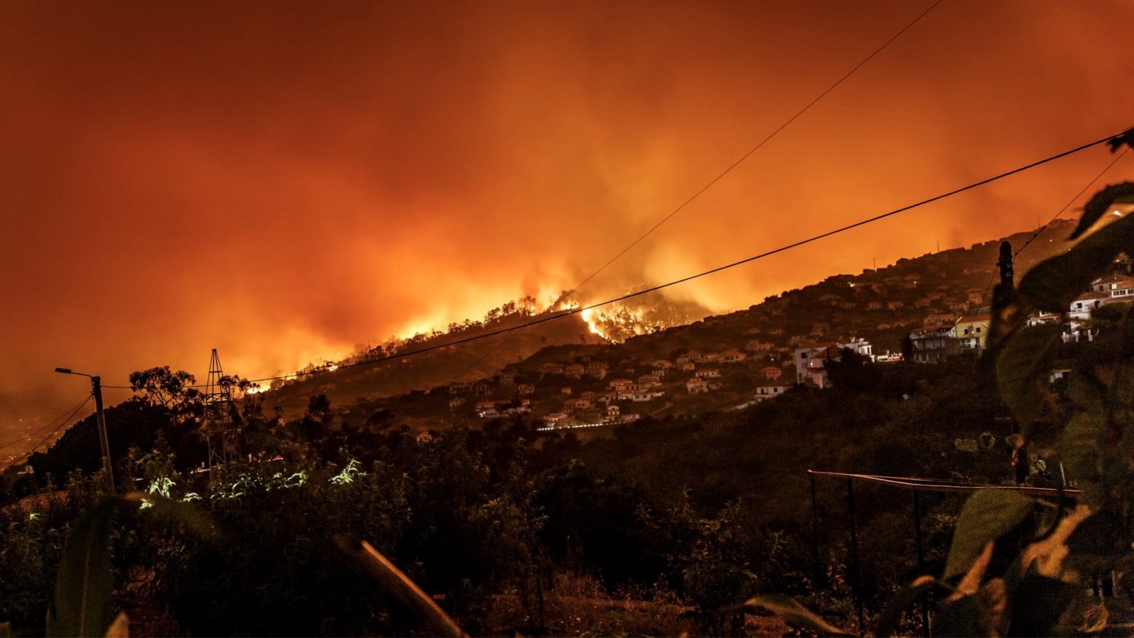 Megaincendio. Incendio forestal. Cambio climático.