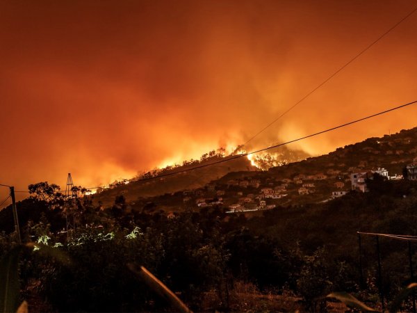 Megaincendio. Incendio forestal. Cambio climático.