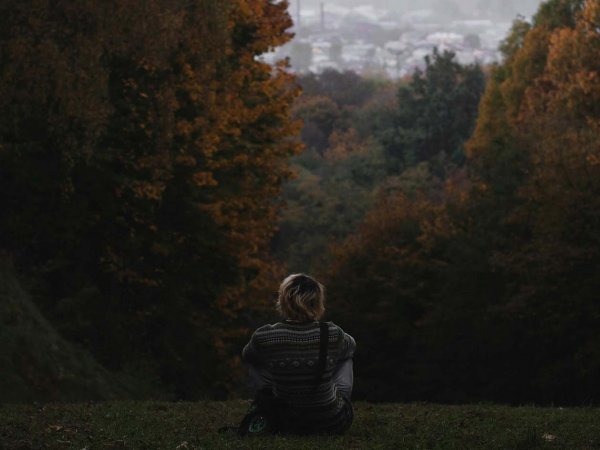 Vista aérea de bosque nativo chileno en propiedad privada.