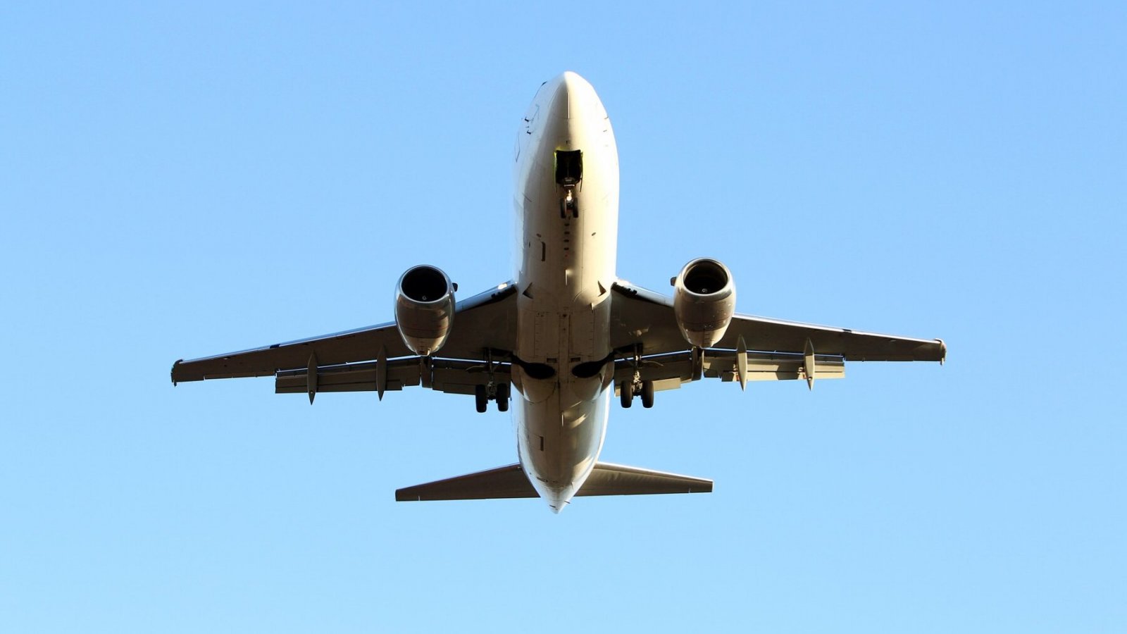 Avión. Aerolínea Wizz Air