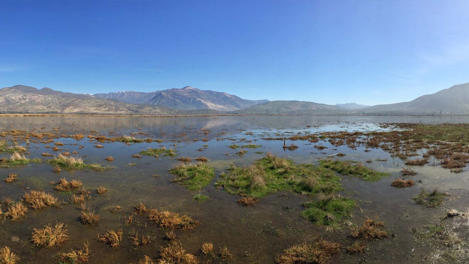 Humedal de Batuco en Chile, un ejemplo de biodiversidad a conservar.