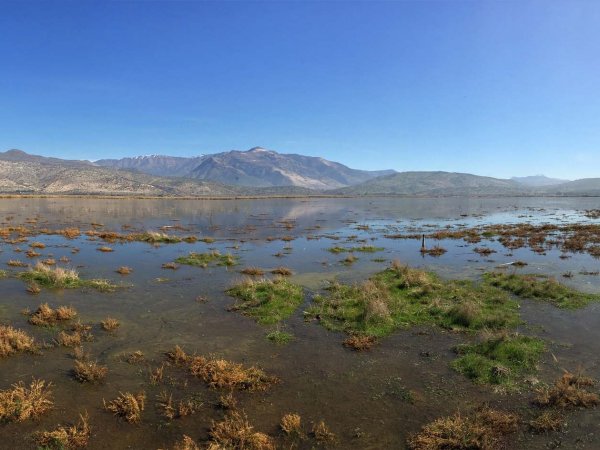 Humedal de Batuco en Chile, un ejemplo de biodiversidad a conservar.