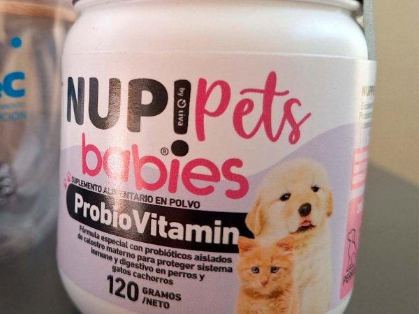 Pet Babies, el primer probiótico chileno para perros y gatos.