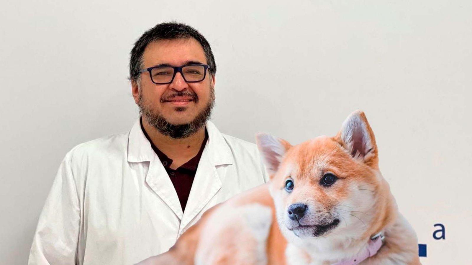 Investigadores de la Universidad de Chile detectan variante Ómicron en perros.