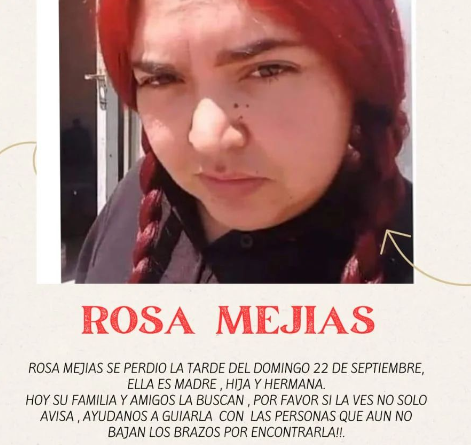 Afiche Rosa Mejías.