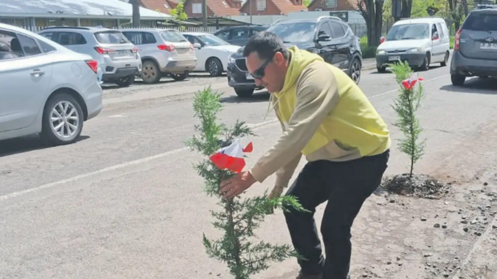 Hombre plantando arboles en hoyo