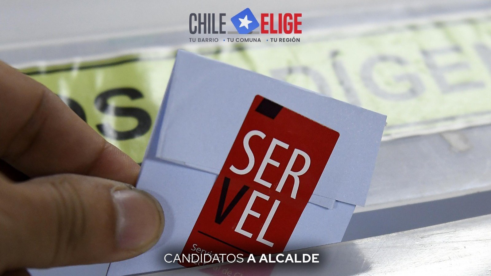 Conoce todos los candidatos a alcalde en las elecciones 2024