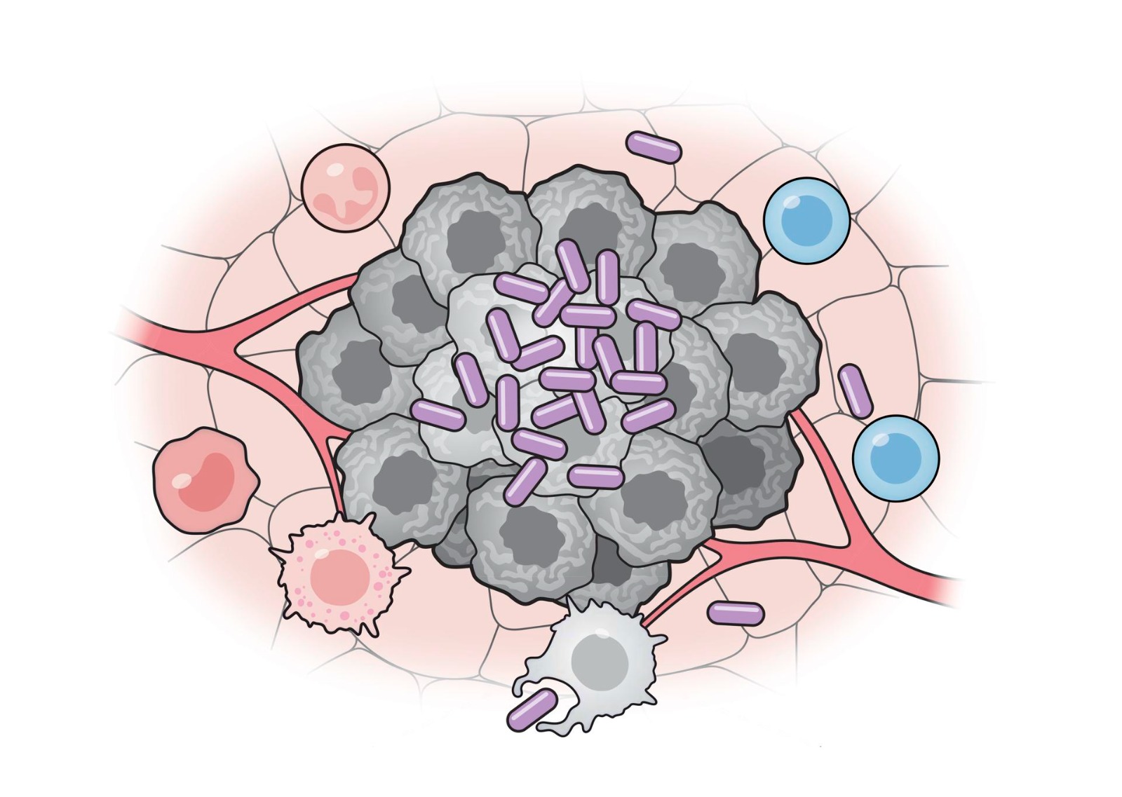 Gráfica Bacteria matando células cancerígenas