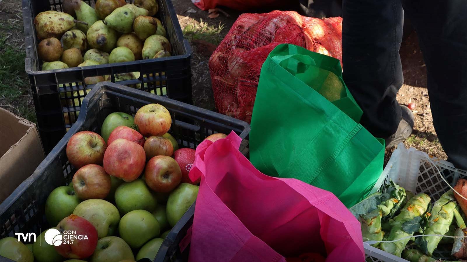 Voluntarios recuperando alimentos en una feria local para ollas comunes y compostaje.