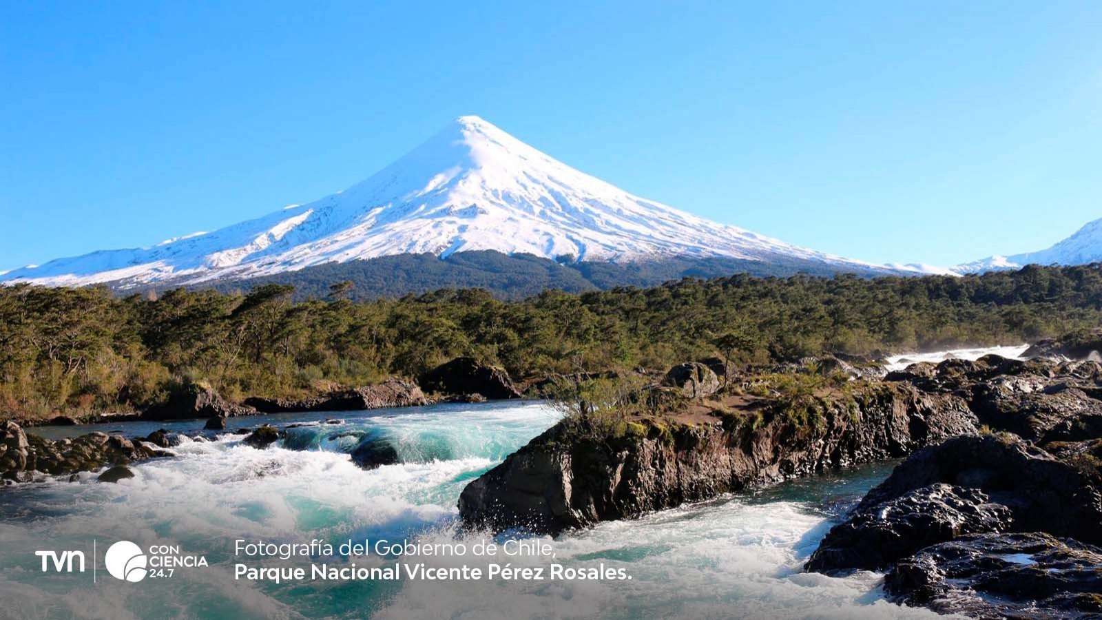 Visitantes disfrutando de un día soleado en un parque nacional de Chile durante la primavera.