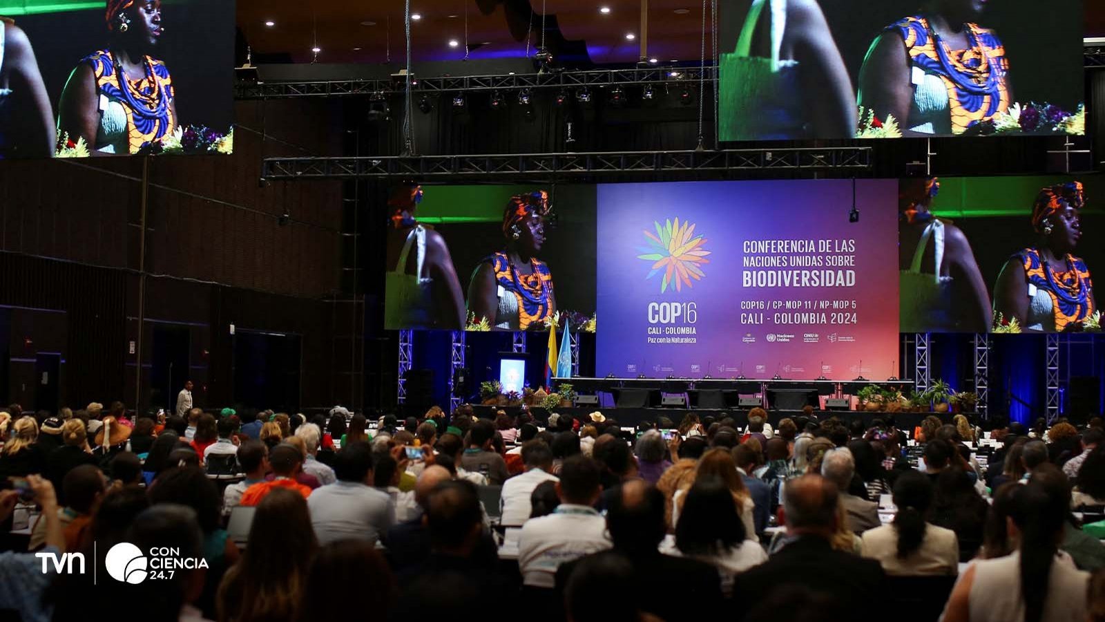 Delegados de la COP16 en Cali discutiendo estrategias de conservación y biodiversidad.