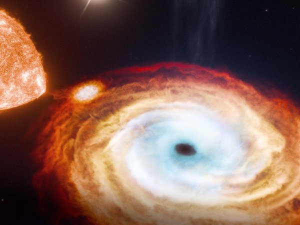 Representación artística del sistema triple V404 Cygni, mostrando dos estrellas orbitando un agujero negro.