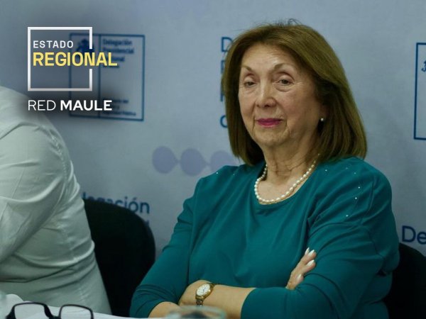 María Inés Parra, Directora Regional Servel.