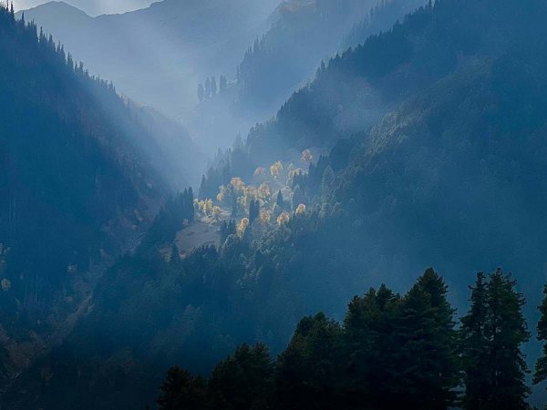 Bosque tropical amenazado por la deforestación, uno de los ecosistemas más vulnerables según el informe de la UICN.