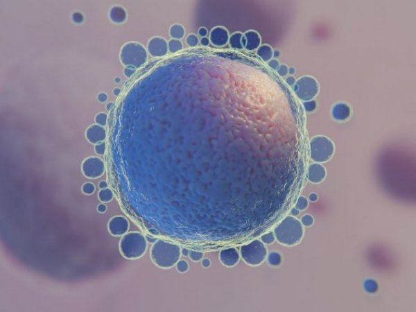 Graphic of a stem cell