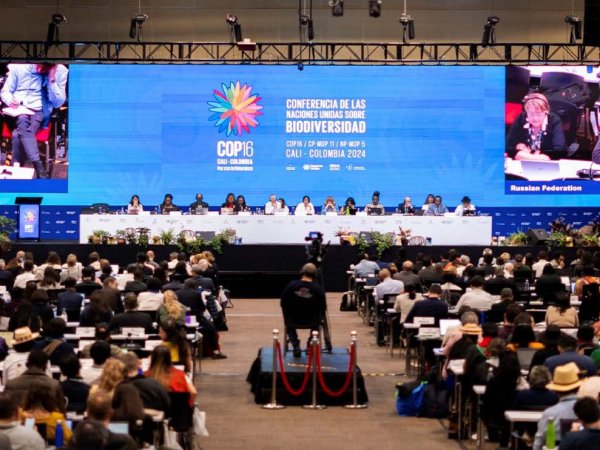 Delegados de la COP16 discutiendo acuerdos sobre biodiversidad y conservación oceánica en Cali, Colombia.