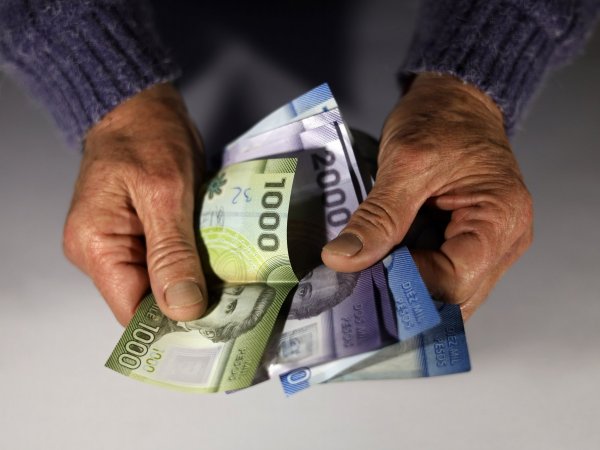 Profesora. Bono de Desempeño Laboral