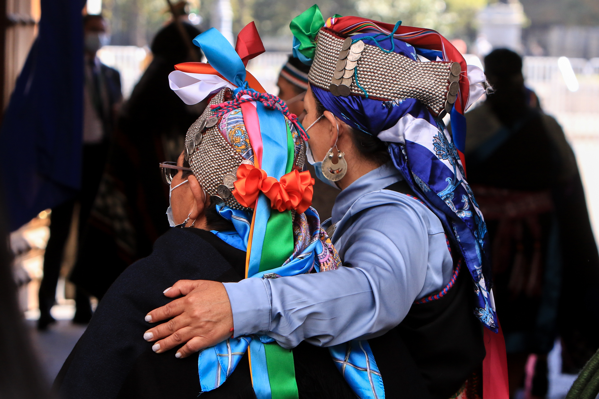 Mapuches