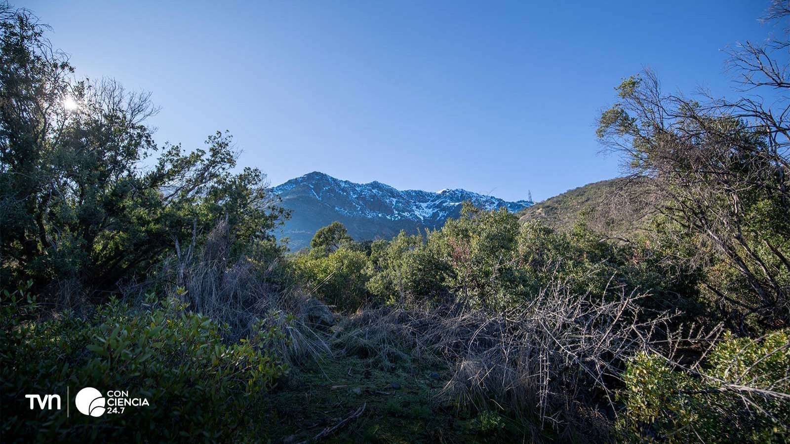 Vista del Parque Cantalao con sus senderos y actividades al aire libre, rodeado de naturaleza en Peñalolén.