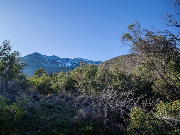 Vista del Parque Cantalao con sus senderos y actividades al aire libre, rodeado de naturaleza en Peñalolén.
