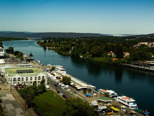 Competidores del IRONMAN 70.3 Valdivia, el primer evento carbono neutral de su tipo, en plena carrera.