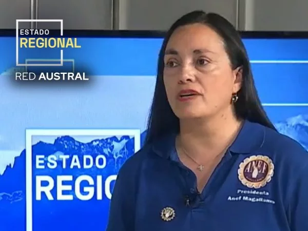 Estado Regional Red Austral - Viernes 22 de noviembre 2024