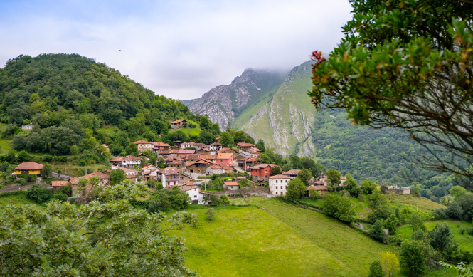 Ponga, Asturias