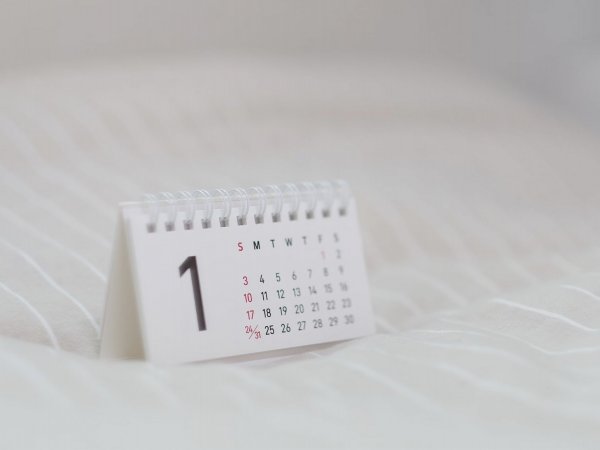 Calendario feriados diciembre Chile 2024