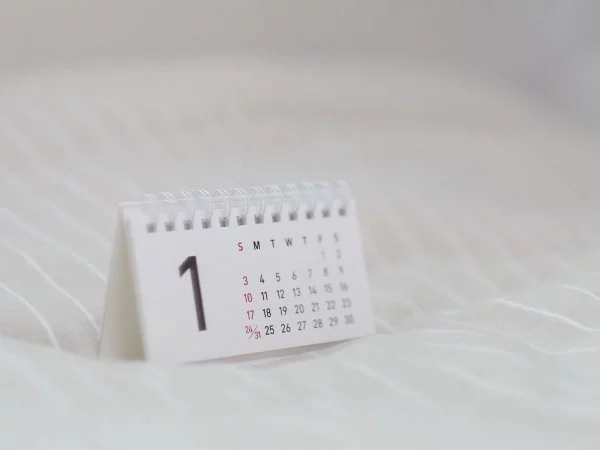 Calendario feriados diciembre Chile 2024