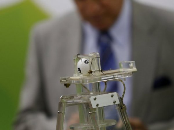 La Suerte de ser Chileno sorteo