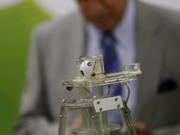 La Suerte de ser Chileno sorteo