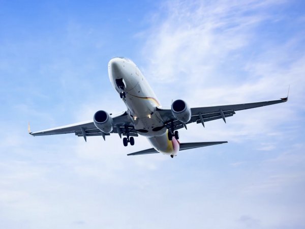 Aerolíneas. Black Friday 2024.