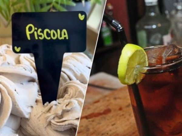 Helado de piscola en Valdivia