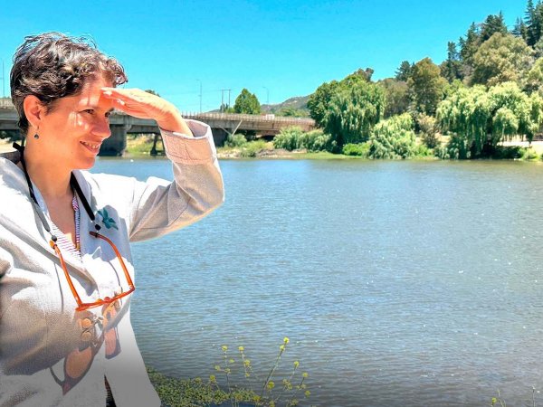 Humedal Cajón del Río Claro y Estero Piduco en Talca, un ecosistema clave para la biodiversidad y la mitigación del cambio climático.