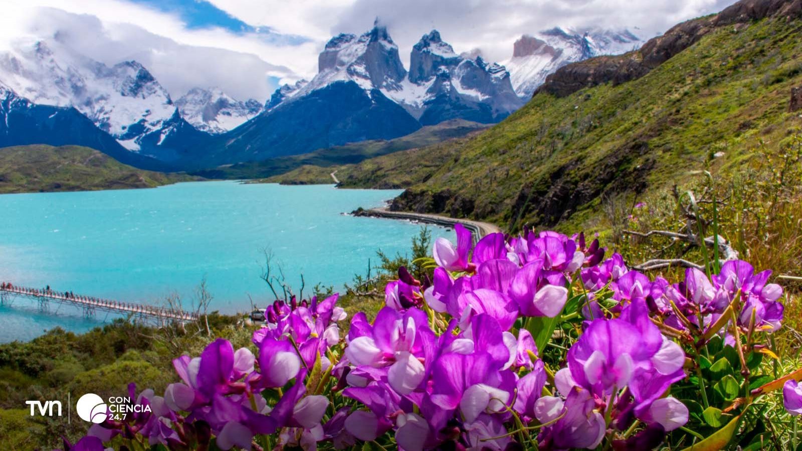 Vista panorámica de la Reserva de la Biósfera Torres del Paine, con montañas y lagos.