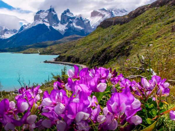 Vista panorámica de la Reserva de la Biósfera Torres del Paine, con montañas y lagos.
