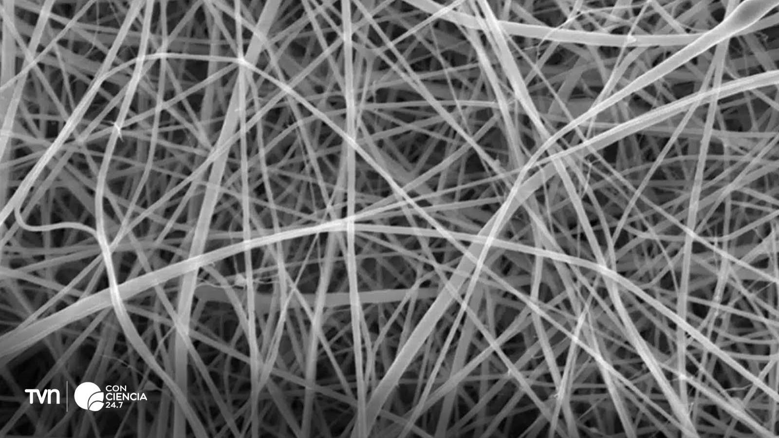 Microscopio mostrando las nanofibras de almidón más finas creadas por científicos del UCL.