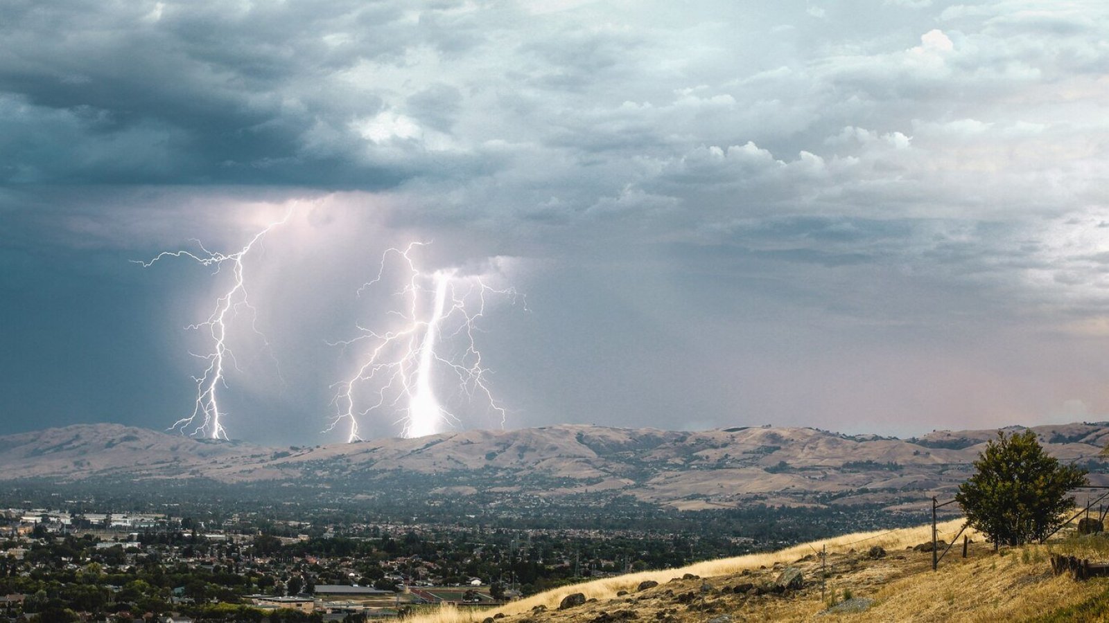 Alerta Temprana Arica