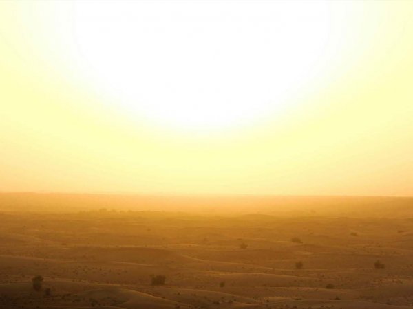 Imagen de calor extremo.