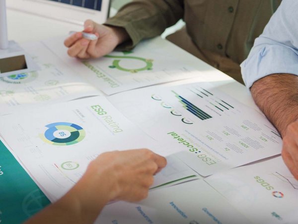 Gráfica de los principales resultados del DSE 2024, destacando el compromiso empresarial con la sostenibilidad.