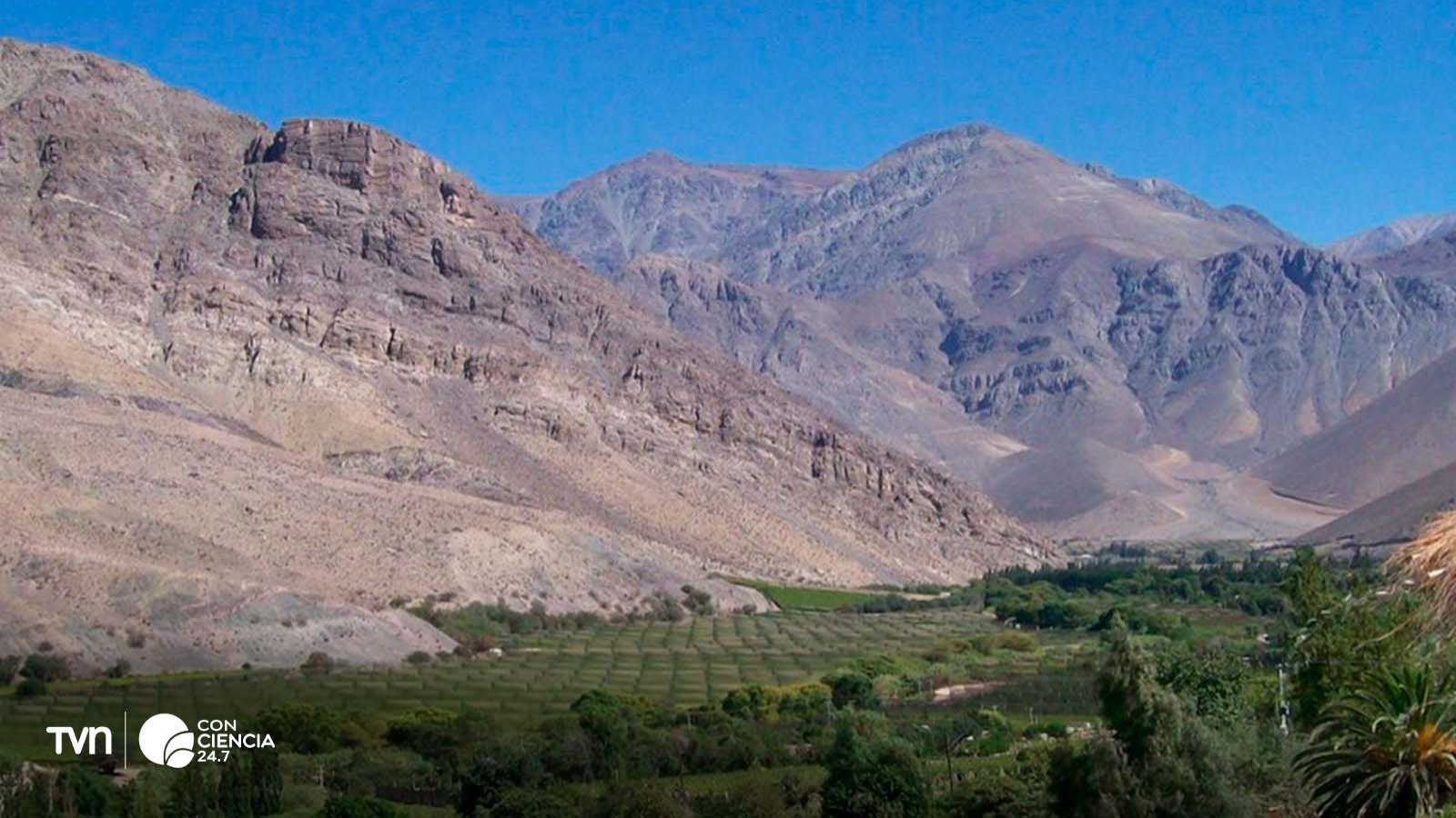 Vista del Monumento Natural Tres Cruces en el Valle del Elqui, resaltando su flora y paisajes únicos.