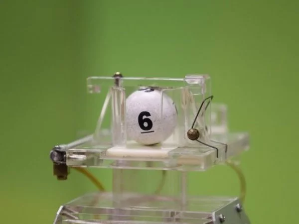 La suerte en Chile 2024