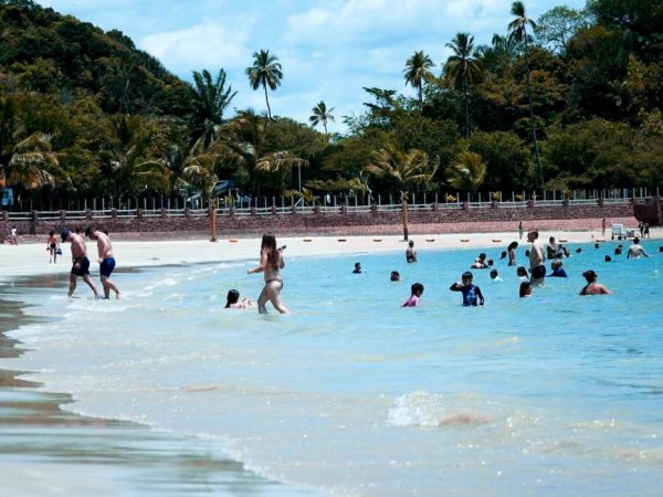 ¿Qué hacer en Salvador de Bahía?