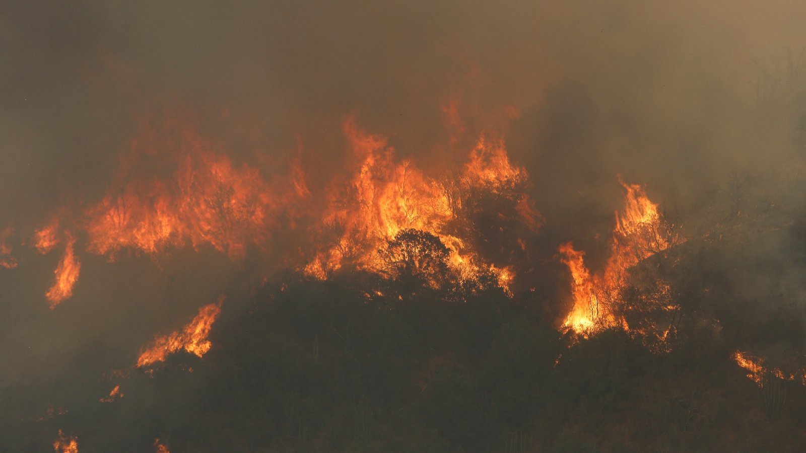 Incendios en Valparaíso