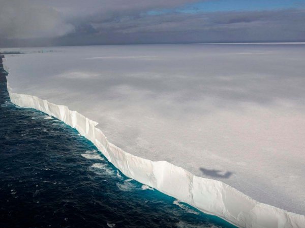 El iceberg A23a, con 3.600 kilómetros cuadrados, se desplaza hacia Georgia del Sur en el Atlántico Sur.