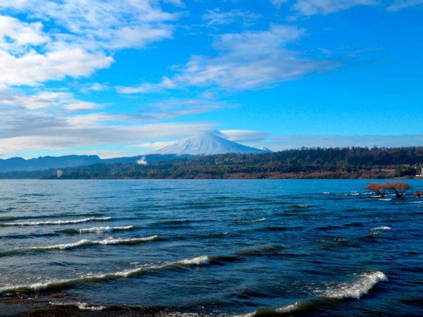 Vista panorámica del lago Villarrica, rodeado de naturaleza y afectado por contaminación ambiental.